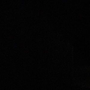 Meet your Posher, Sammy